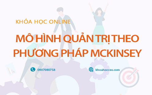 mô hình quản trị theo phương pháp Mckinsey online