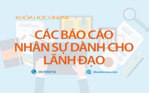 Khóa Học Online Các Báo Cáo Nhân Sự Dành Cho Lãnh Đạo