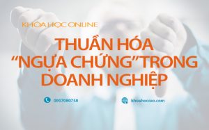 khóa học Thuần hóa ngựa chứng trong doanh nghiệp