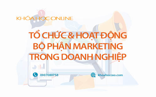 Tổ chức bộ phận marketing